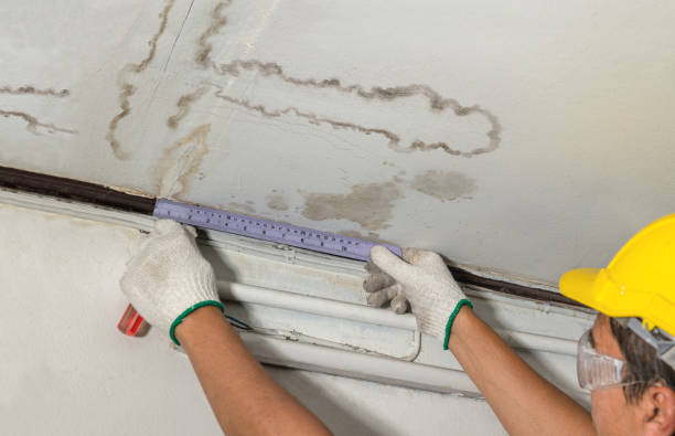 Reliable Burst Pipe Cleanup contractor in Edison, GA by Water Damage Irwin